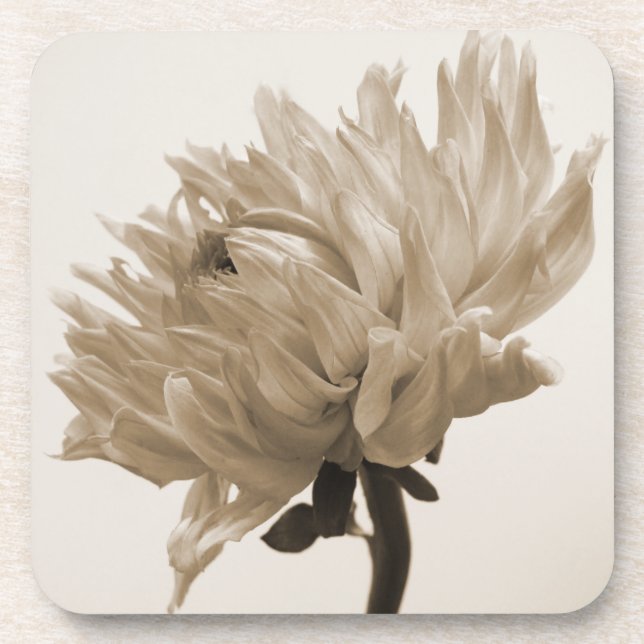 Porta-copo dahlia sepia impressão (Frente)