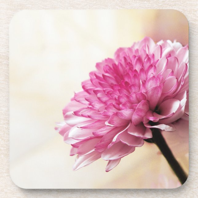 Porta-copo Daisy (Frente)