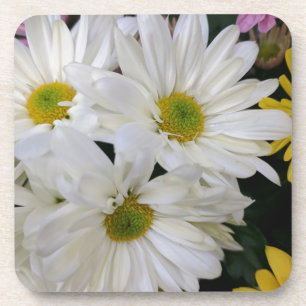 Porta-copo Daisy