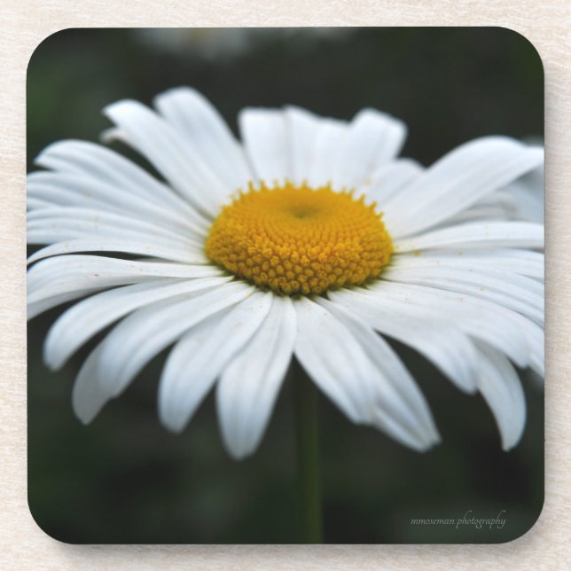 Porta-copo Daisy - Enfrentar (Frente)
