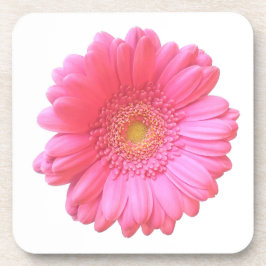 Porta-copo Daisy gerbera rosa