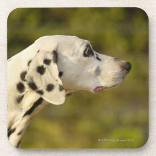 Porta-copo Dalmatian 4