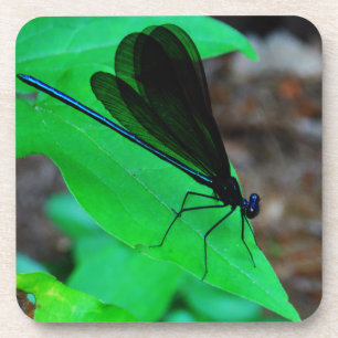 Porta-copo Damselfly azul em uma folha verde.