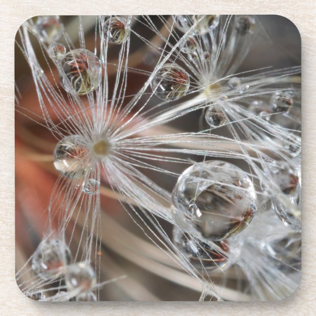 Porta-copo Dandelion Abstrato (Frente)