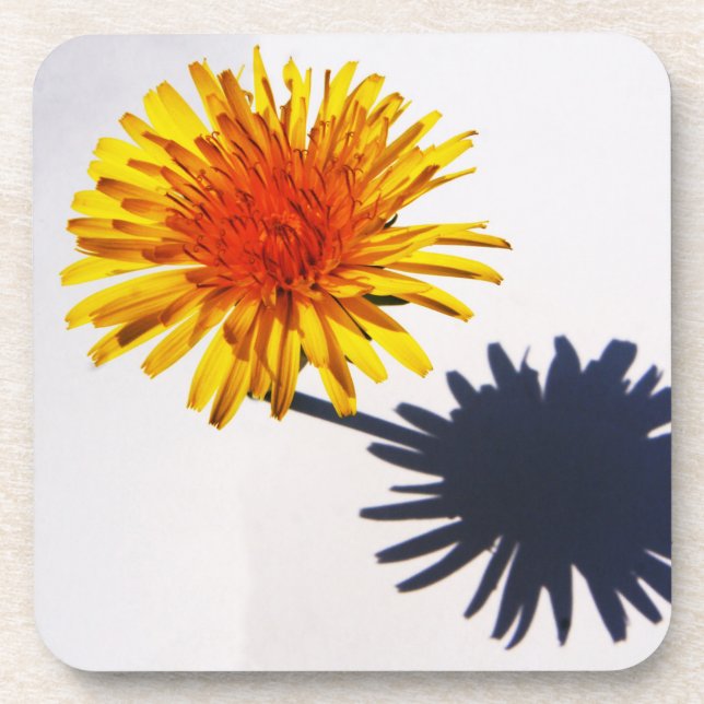 Porta-copo Dandelion e Shadow Costercnm (Frente)