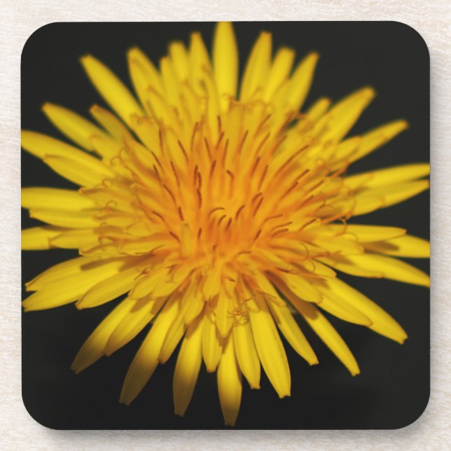 Porta-copo Dandelion Flower orercna (Frente)