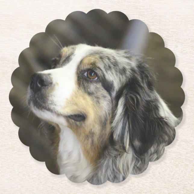 Porta-copo De Papel Aussie (Frente)