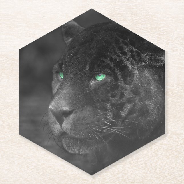 Porta-copo De Papel Black Jaguars Emerald Gaze (Frente)