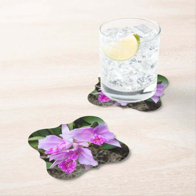 Porta-copo De Papel Buquê de Orquídeas (Insitu)
