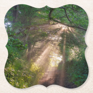 Porta-copo De Papel Caminho da Floresta