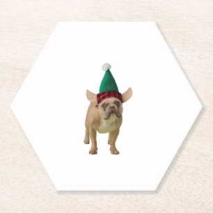 Porta-copo De Papel Cãozinho de Natal no chapéu de elfo.Fundo branco.