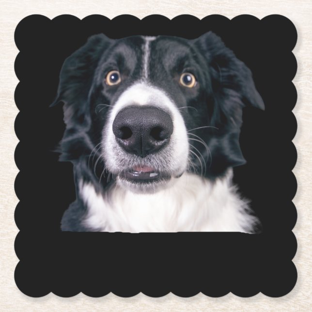Porta-copo De Papel Cara de Cachorro Preto e Branco (Frente)
