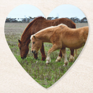 Porta-copo De Papel Chestnut Mare E Palomino Foal,