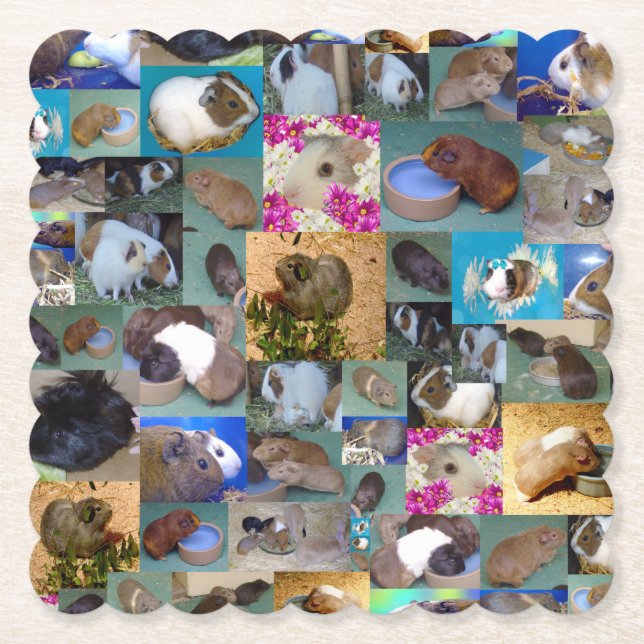 Porta-copo De Papel Colagem de Fotografias de Suínos na Guiné, (Frente)