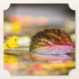 Porta-copo De Papel Cores de queda