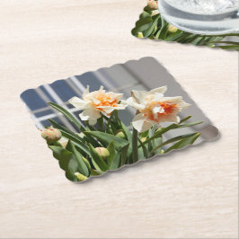 Porta-copo De Papel Daffodils fodils fodils primavera