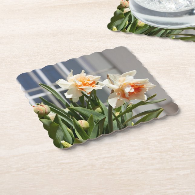 Porta-copo De Papel Daffodils fodils fodils primavera (Angular)