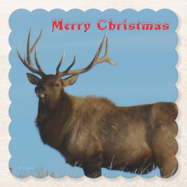 Porta-copo De Papel E62 Bull Elk and Blue Sky Coaster (Frente)