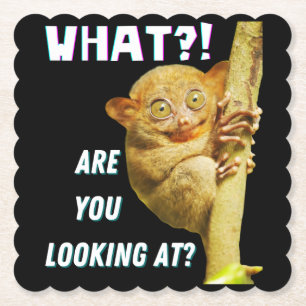 Porta-copo De Papel Engraçado, Grande Olho Tarsier O Que Você Está Olh