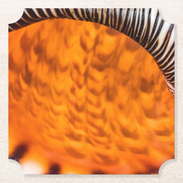 Porta-copo De Papel Enxertia em rede (Frente)