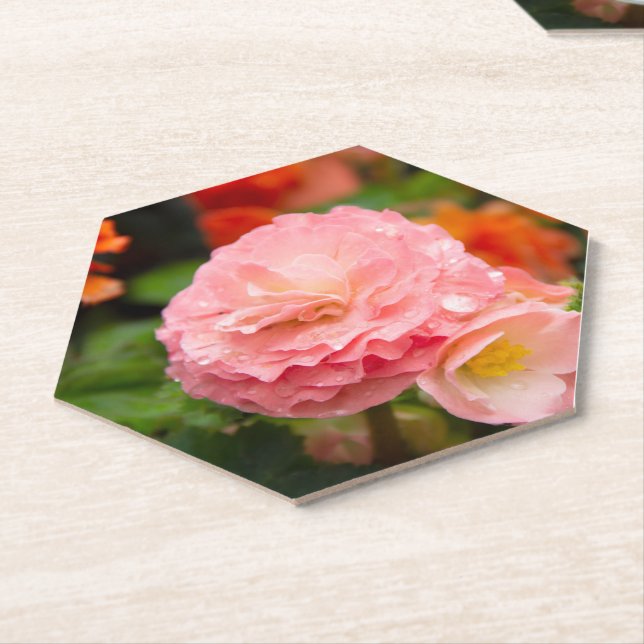 Porta-copo De Papel Flor rosa delicada após a chuva (Angular)