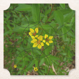 Porta-copo De Papel Flores De Borracha