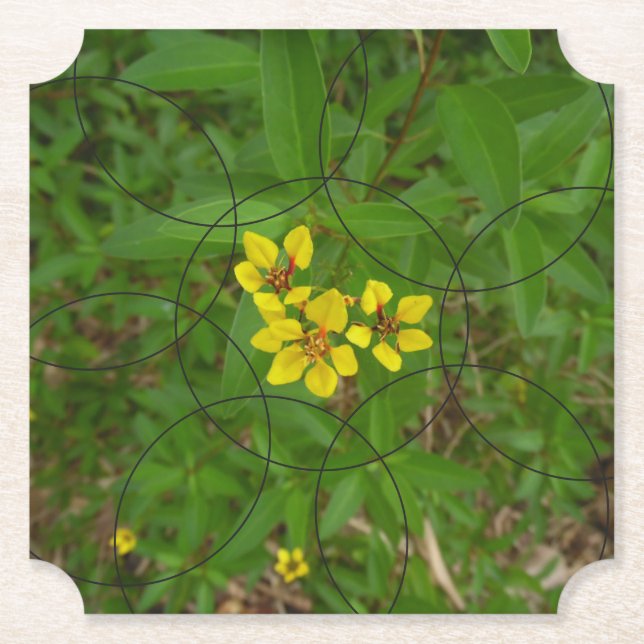 Porta-copo De Papel Flores De Borracha (Frente)