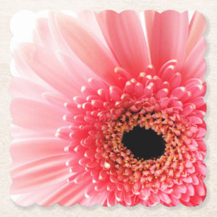 Porta-copo De Papel Fotografia de Gerbera Daisy Rosa Fresca