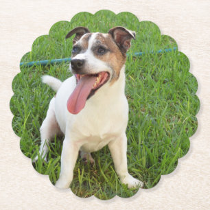Porta-copo De Papel Fox Terrier, Língua Em Cheek,