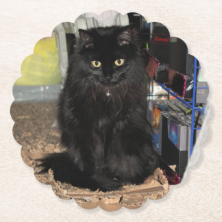 Porta-copo De Papel Gato