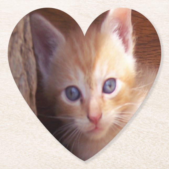 Porta-copo De Papel Gatos (Frente)