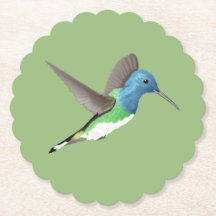 Hovering Jacobin Hummingbird - transparente.