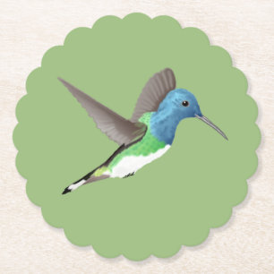 Porta-copo De Papel Hovering Jacobin Hummingbird - transparente.