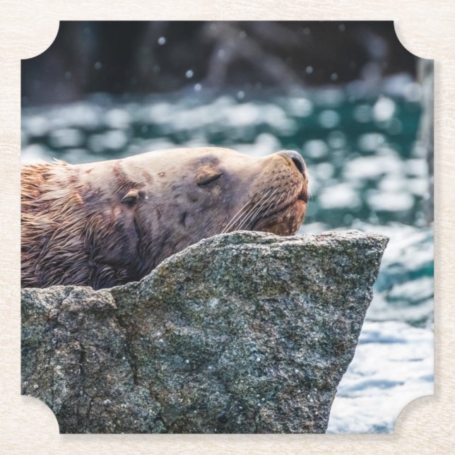 Porta-copo De Papel Leão-Do-Mar Na Baía De Ressurreição, Alasca (Frente)