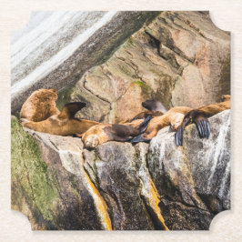 Porta-copo De Papel Leões Do Mar Deitados Nas Rochas