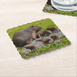 Porta-copo De Papel Mamãe E Bebê Capybaras,