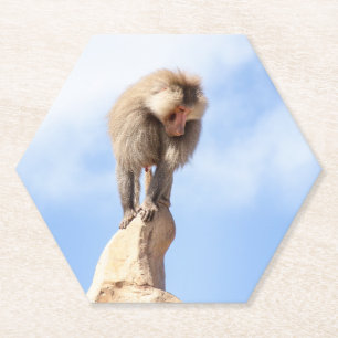 Porta-copo De Papel Mandril Majestoso no Pico da Montanha