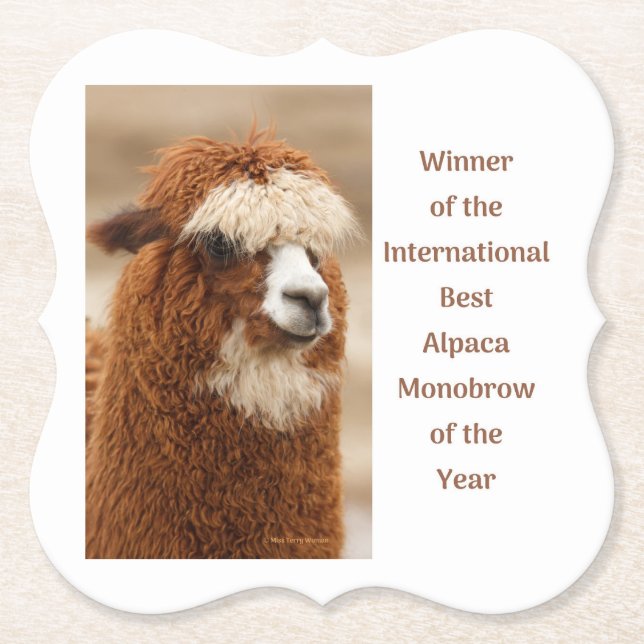 Porta-copo De Papel Melhor Sobrancelha Unida de Alpaca (Frente)