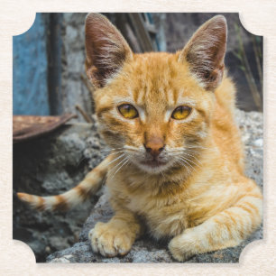 Porta-copo De Papel Olhos de ouro