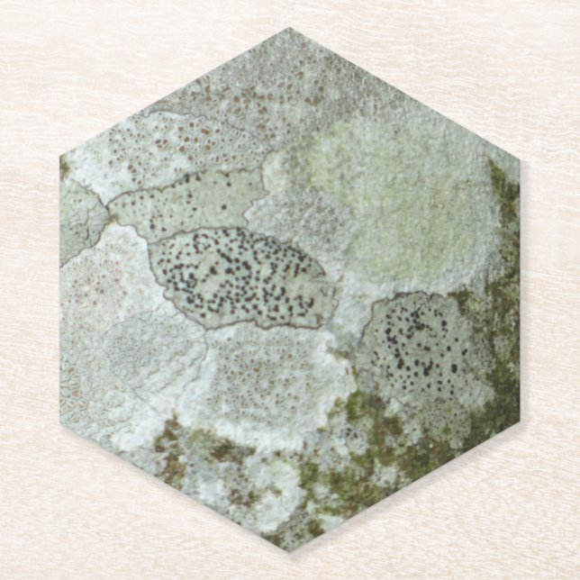 Porta-copo De Papel Padrão de latido da árvore cinza (Frente)