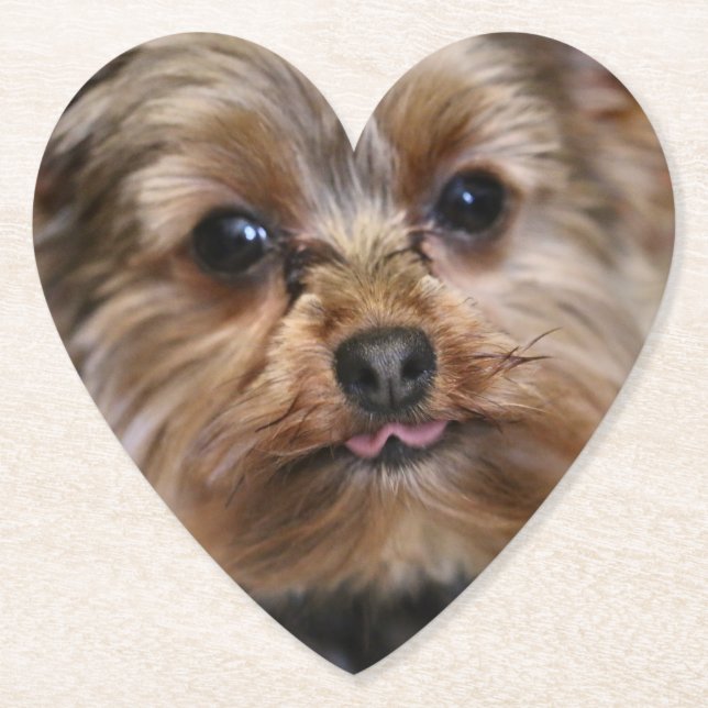 Porta-copo De Papel Pfft! (Frente)