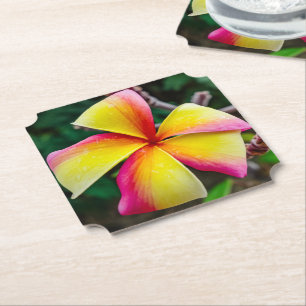 Porta-copo De Papel Plumeria rubra