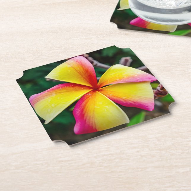 Porta-copo De Papel Plumeria rubra (Angular)