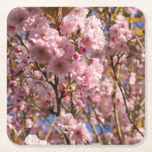 Porta-copo De Papel Quadrado A cor brilhante da primavera da flor de cerejeira