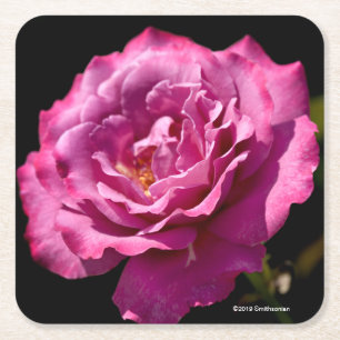 Porta-copo De Papel Quadrado Acima-Fim cor-de-rosa da cara do anjo