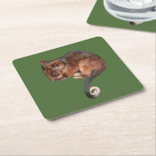 Porta-copo De Papel Quadrado Adorável Baby Ringtail Possum na Austrália