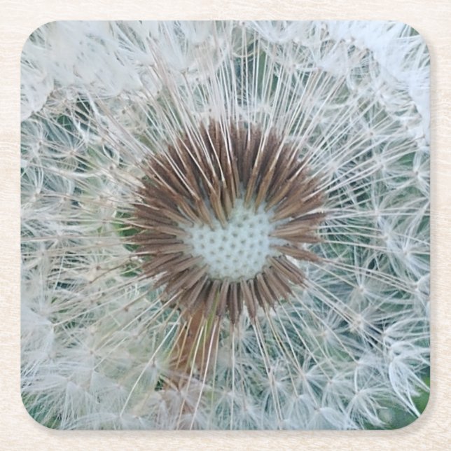 Porta-copo De Papel Quadrado Adorável Dandelion Branco (Frente)