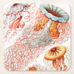 Porta-copo De Papel Quadrado Água-viva, Desconto de Ernst Haeckel