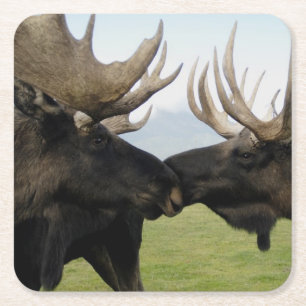 Porta-copo De Papel Quadrado Alces