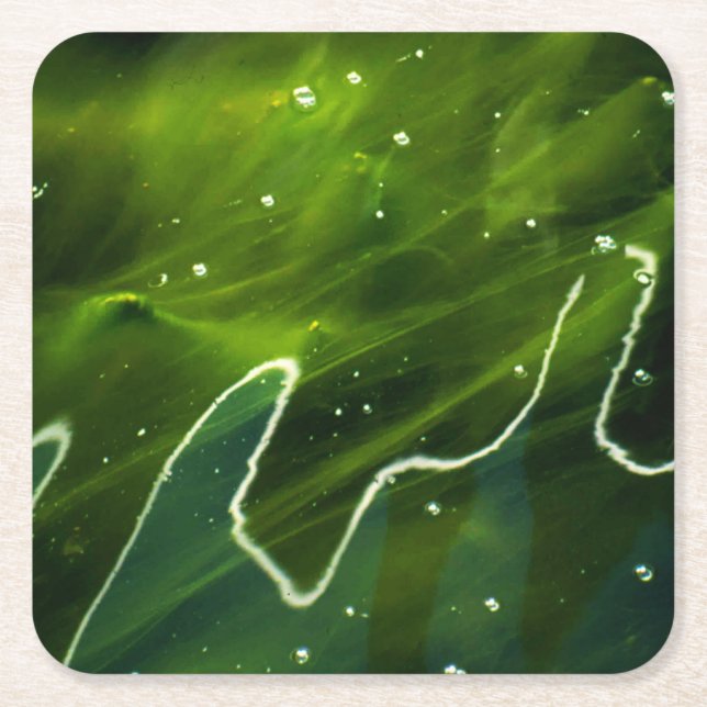 Porta-copo De Papel Quadrado Algas verdes e litoral aquático (Frente)